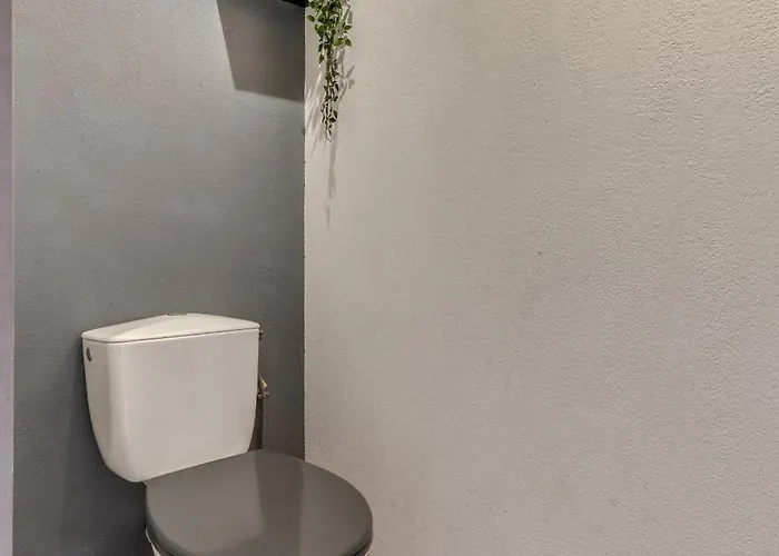 L'ecrin Jardin Des Remparts - Parking Prive - Terrasse Carcassone